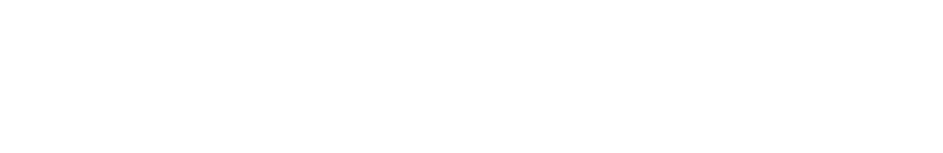 ReciLoc Logo - All White